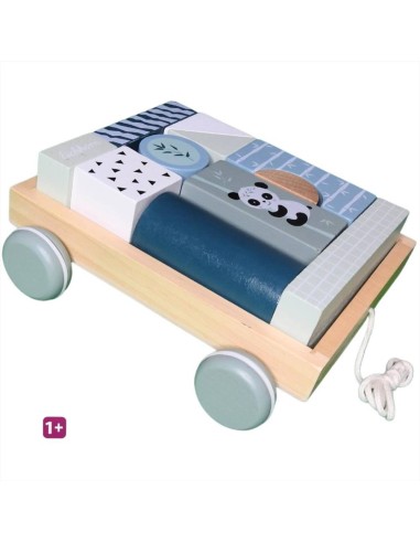 Carretto Creativo in Legno con Blocchi  - Vendita online | GBMsport.it