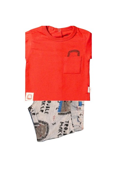 Completo babybol, bambino t-shirt rossa+short stampa riccio*  - Vendit