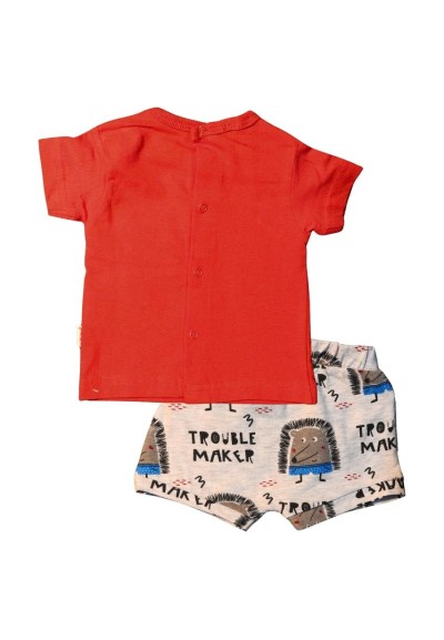 Completo babybol, bambino t-shirt rossa+short stampa riccio*  - Vendit