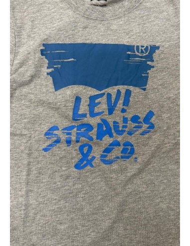 Maglietta Levi's Unisex Ragazzi Grigia con Stampa Logo – Manica Corta  2