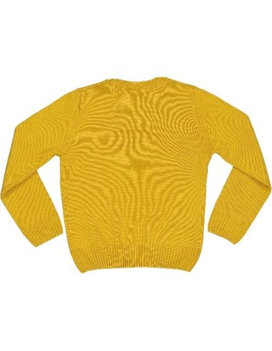 Maglioncino ragazzo color senape.  - Vendita Moda sportiva 2
